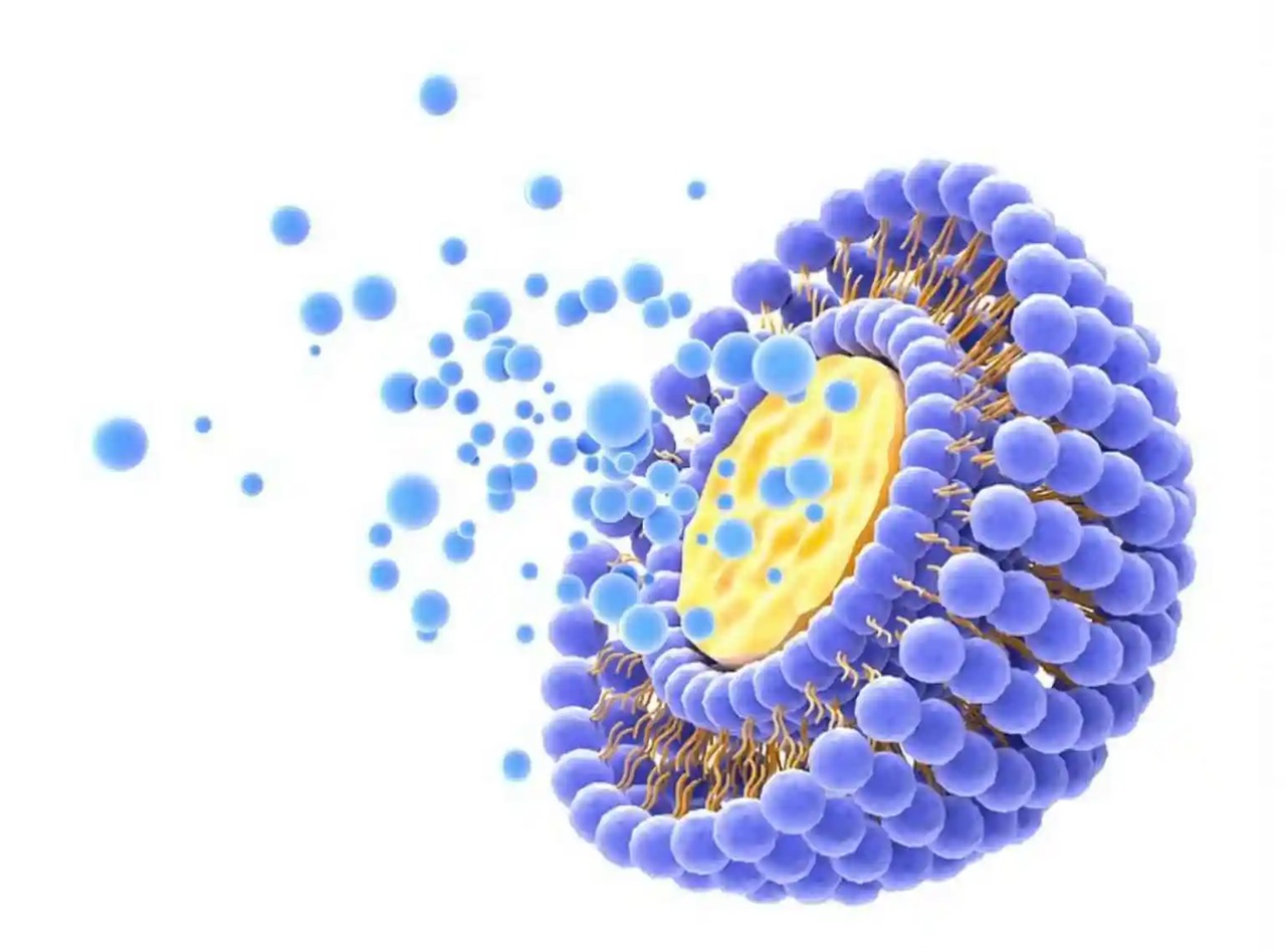 Liposome 3D graphic